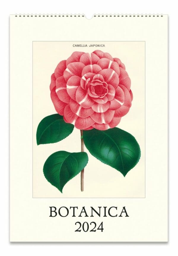 Cavallini 2024 Wall Calendar Botanica Bibelot