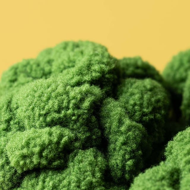 broccoli2