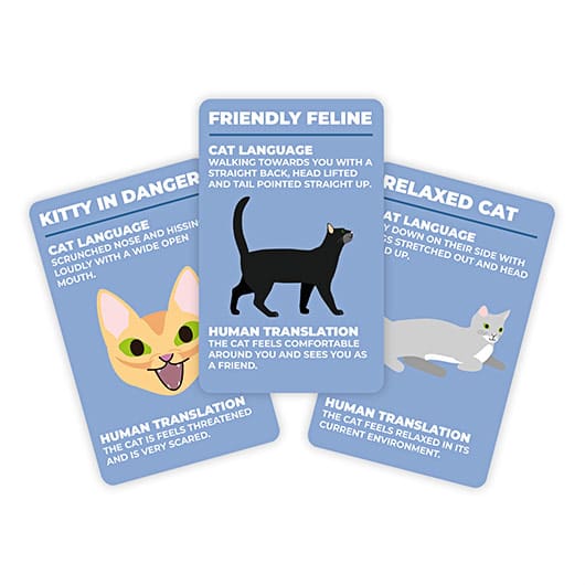 how-to-speak-cat-rollover2